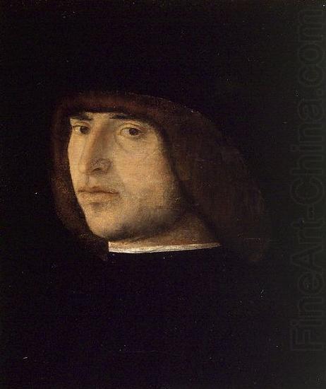 Gentile Bellini Portrait of a Young Man china oil painting image